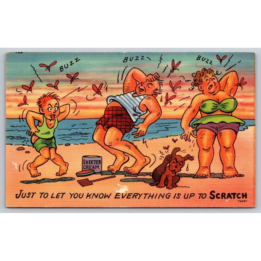 Vtg 1951 Humor Linen Postcard Tichnor Bros Mosquito beach Comic Scratch 79087